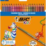 Pochette Crayons de 24 couleur EVOLUTION Stripes  BIC