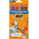 Pochette Crayons de 12 couleurs EVOLUTION Stripes  BIC