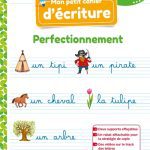 Mon petit cahier d'écriture CP, CE1 : perfectionnement édition: MAGNARD