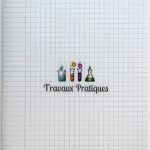 Cahier Travaux Pratiques  24*32cm 96 Pages 90g CONQUERANT