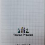 Cahier Travaux Pratiques Classique 21*29.7 96P 90g CONQUERANT