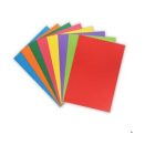 Paquet De 10 Chemises Cartonnées Vives Purple
