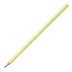 Crayon Noir Evolution pastel HB Bic