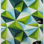 Cahier Registre Souple 21x29.7 288P 60g Selecta