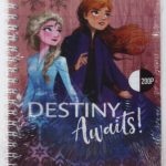 Cahier Wiro 17*22 SYS 200P 80g Disney Yamama
