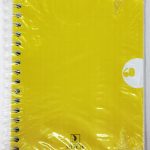 Cahier WIREO 17*22 400P 60G SELECTA