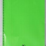 Cahier WIREO A4 SYS 100P 80G Selecta