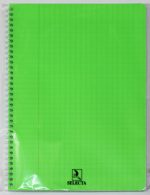Cahier WIREO A4 SYS 100P 80G Selecta