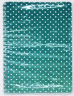 Cahier WIRO 200P A4 80G Selecta