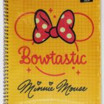 Cahier TP Wireo Disney A4 160P 80g Couverture Plastique Yamama