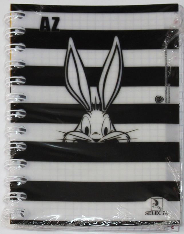 507 Carnet A-Z 5/5 11*17 200P couverture Transparent SELECTA – Image 1