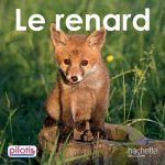 Le Renard - Album - Edition 2019 Lecture CP Hachette Education