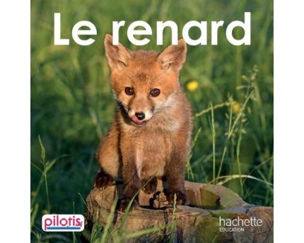 Le Renard - Album - Edition 2019 Lecture CP Hachette Education
