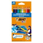CRAYONS DE COULEURS AQUARELLABLES DE 12 BIC