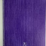 Cahier Spiral 17x22 200P 60g SELECTA