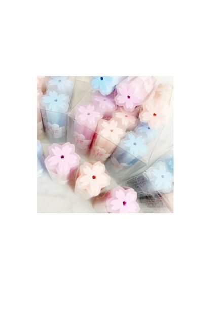 Gomme Forme Sakura YALONG YL221516